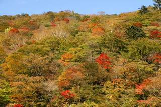 DSC00102c.jpg