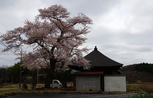 DSC00102c.jpg