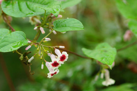 DSC00161c.jpg