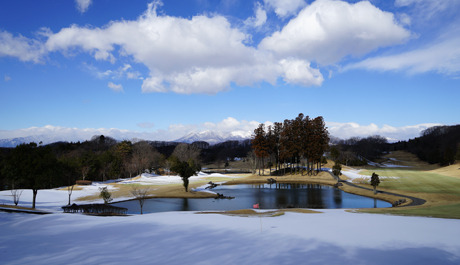 DSC00211c.jpg