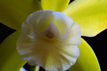 DSC00273c.jpg