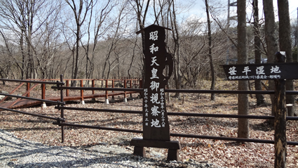DSC00408c.jpg