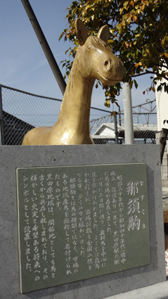 DSC00468c.jpg