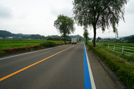DSC00687c.jpg