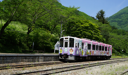 DSC00732c.jpg
