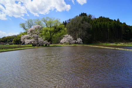 DSC00796c.jpg