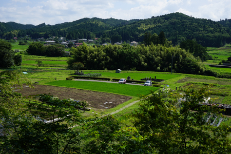 DSC00799c.jpg