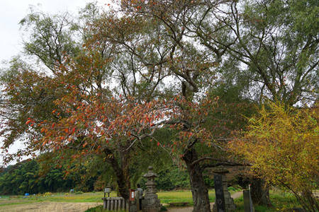 DSC01277c.jpg