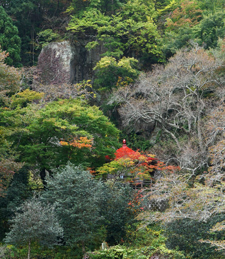 DSC01291cc.jpg