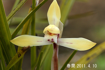 DSC01370c.jpg