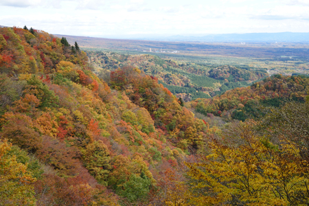 DSC01463c.jpg