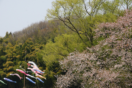 DSC01535c.jpg