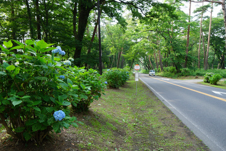DSC01665c.jpg