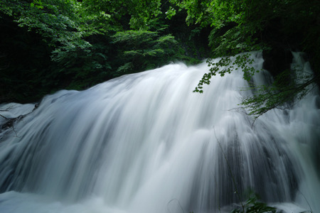 DSC01796c.jpg