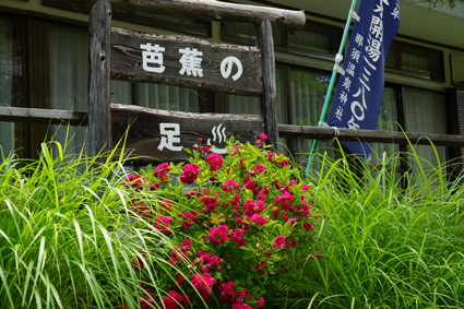 DSC01894c.jpg
