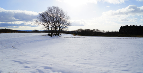 DSC01930c.jpg