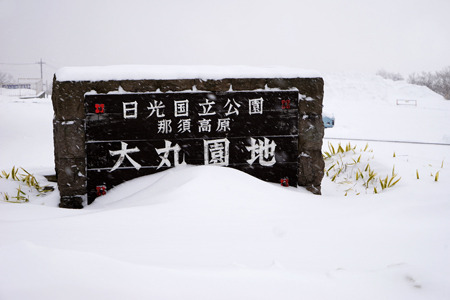 DSC01951c.jpg