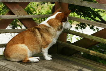 DSC02000c.jpg
