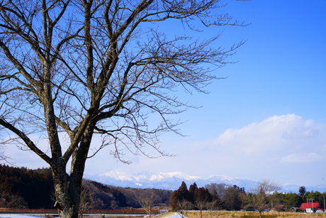DSC02023c.jpg