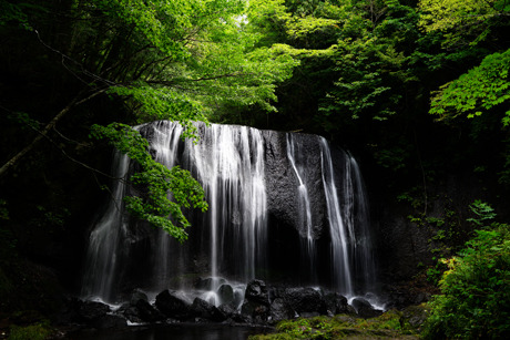 DSC02145c.jpg