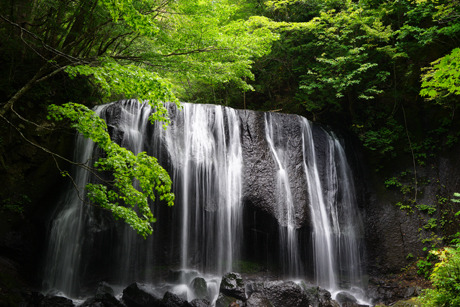 DSC02147c.jpg