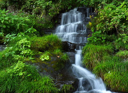 DSC02168c.jpg