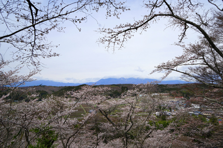 DSC02219c.jpg