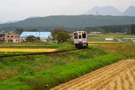 DSC02299c.jpg