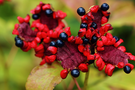 DSC02302c.jpg