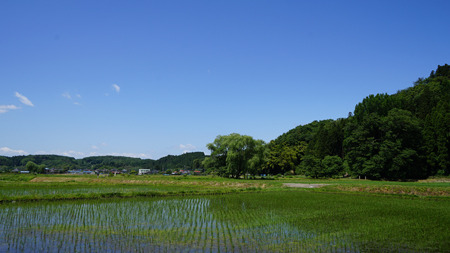DSC02595c.jpg