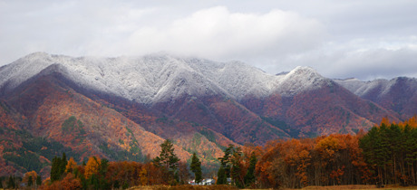 DSC02681c.jpg