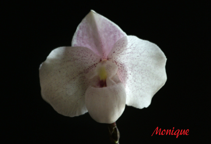 DSC02743c.jpg