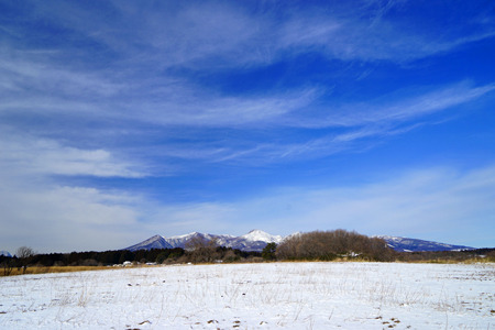 DSC02816c.jpg