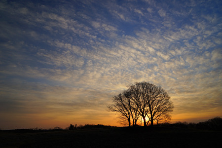 DSC02873c.jpg