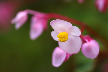 DSC02903c.jpg