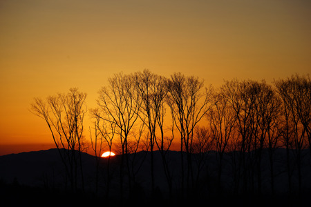 DSC02907c.jpg