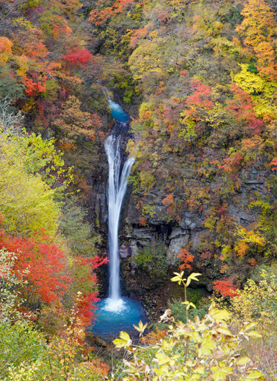 DSC02938c.jpg