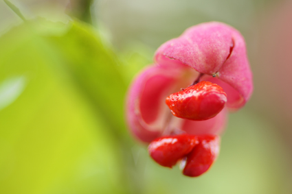DSC03476c.jpg