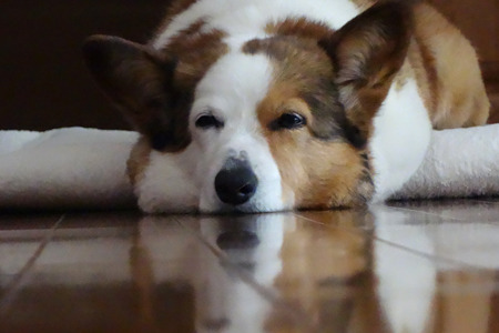 DSC03525c.jpg