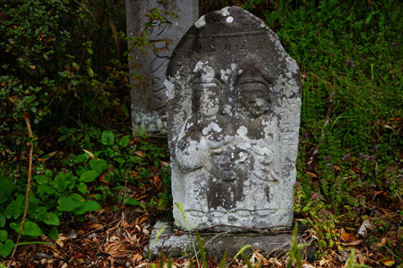 DSC03598c.jpg