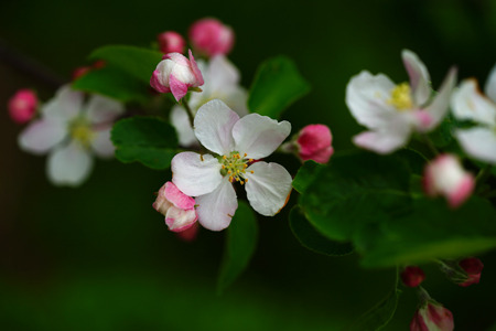 DSC03661c.jpg