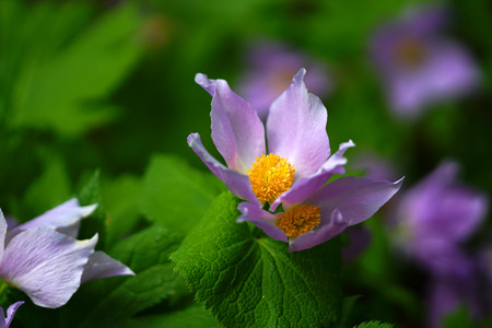 DSC03683c.jpg