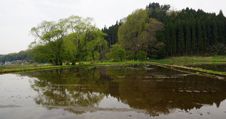 DSC04046c.jpg