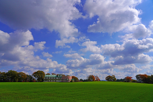 DSC04340ac.jpg