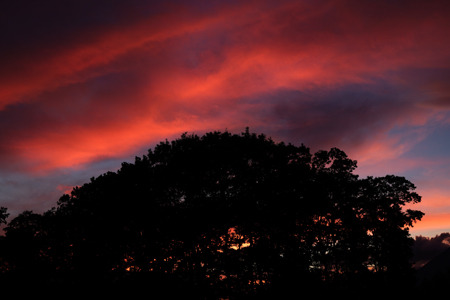 DSC04898c.jpg