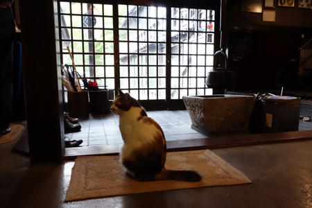 DSC04975c.jpg