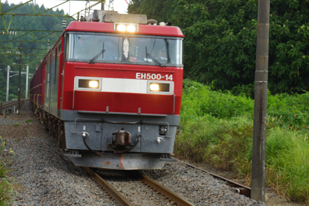 DSC05078c.jpg