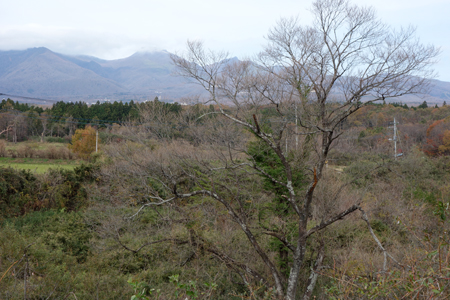 DSC05110c.jpg
