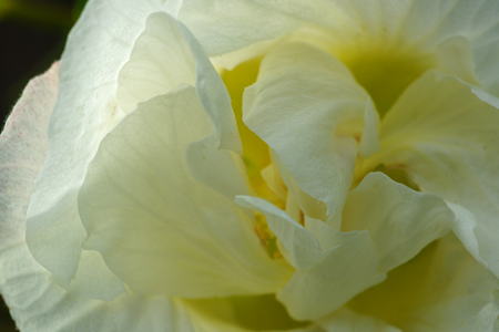 DSC05120c.jpg