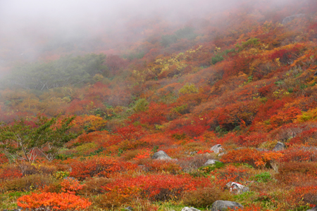 DSC05184c.jpg